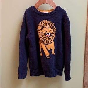Hanna Andersson Sweater